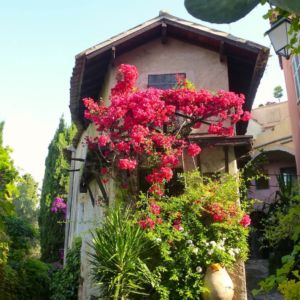 cagnes-flower-house