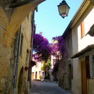 cagnes-flowered-lane