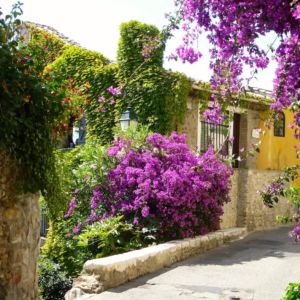 cagnes-flowery-house