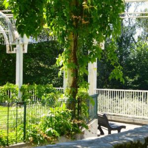 cagnes-leafy-bench