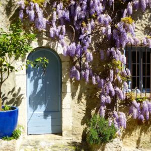 ccagnes-lilac-door