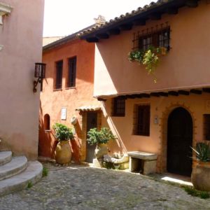 haut-de-cagnes-oranges