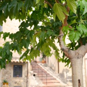 haut-de-cagnes-stairs