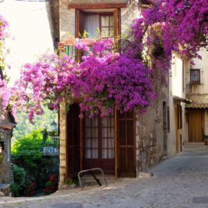haut-de-cagnes-village-copy