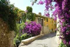 68haut-de-cagnes-village-gallery